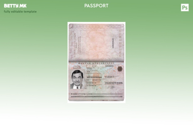 Шаблон за унгарски пасош во модерен стил